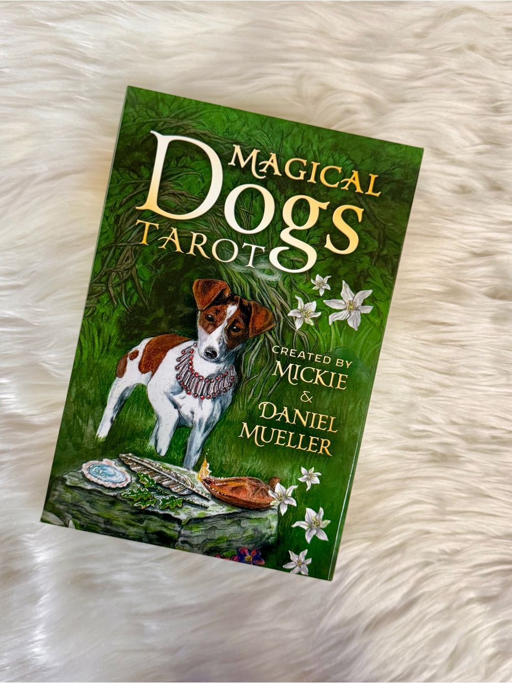 Magical Dogs Tarot Deck and Book Set